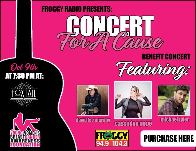 Froggy Concert for a Cause talks to David Lee Murphy