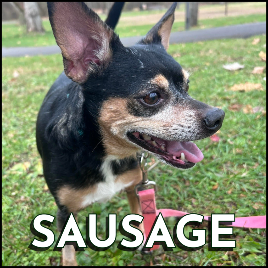 Sausage